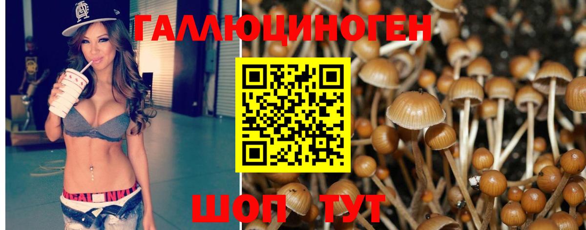 Псилоцибиновые грибы GOLDEN TEACHER  Вход с VPN  Арсеньев 